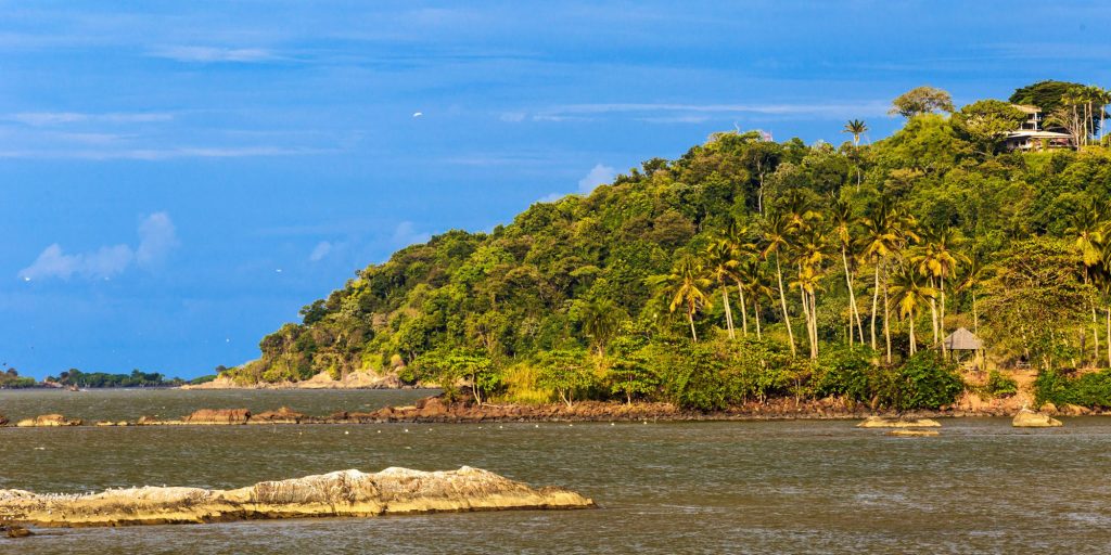 EXPLORING CAYENNE A GUIDED TOUR OF THE CITY ON FOOT - Guyane Evasion